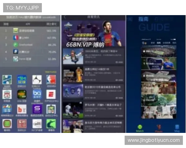 ued体育体育在行业中的地位与未来发展趋势全面分析助力用户理性投注